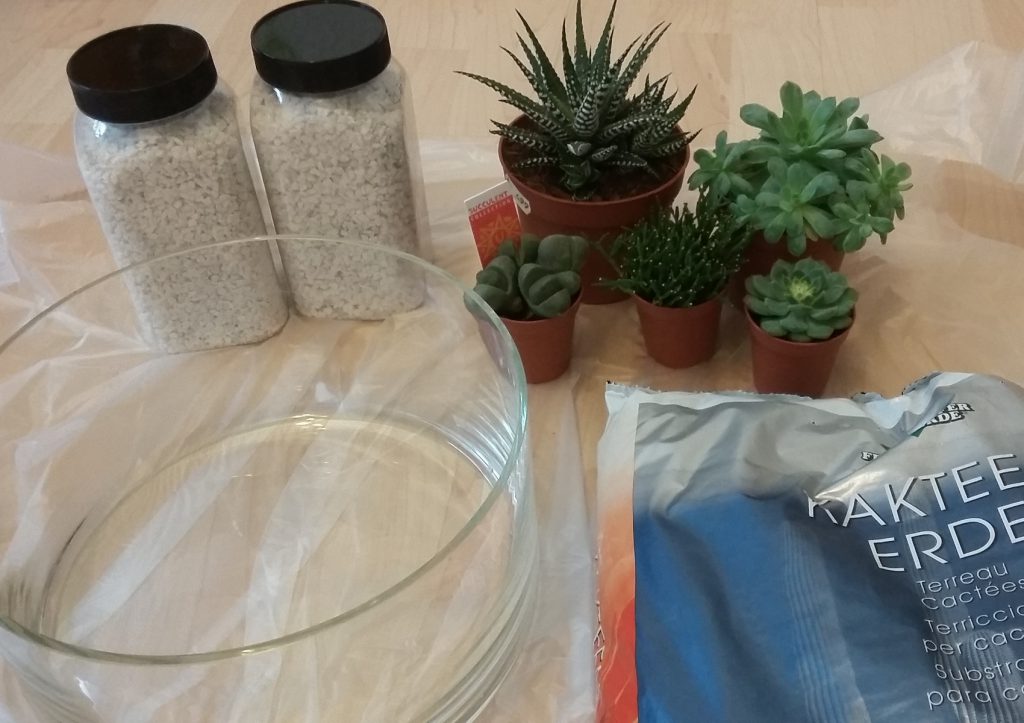 Sukkulentengarten - Material