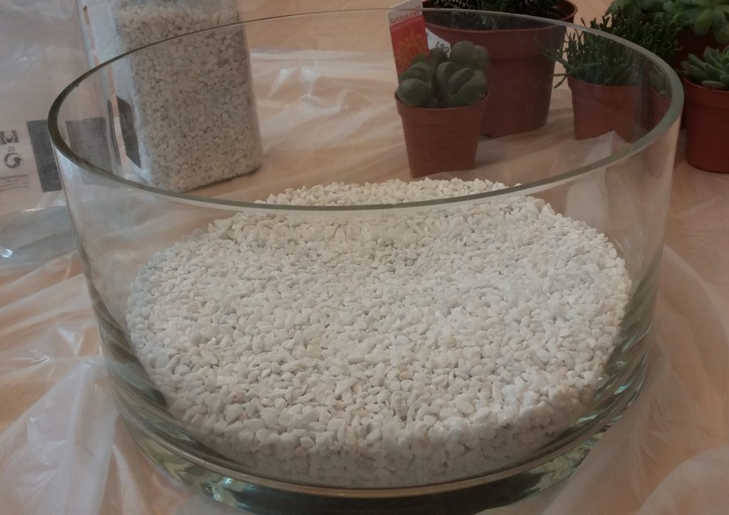 Sukkulentengarten - erste Schicht