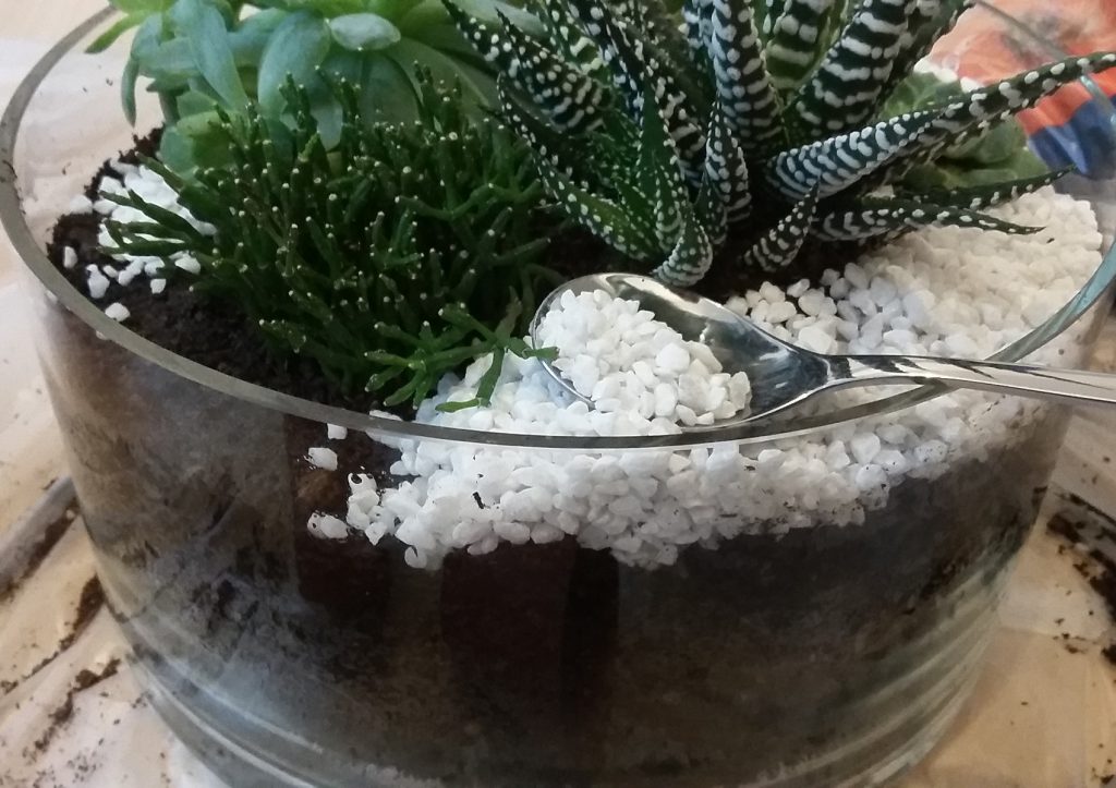 Sukkulentengarten - letzte Schicht